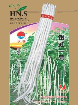 银豇一号